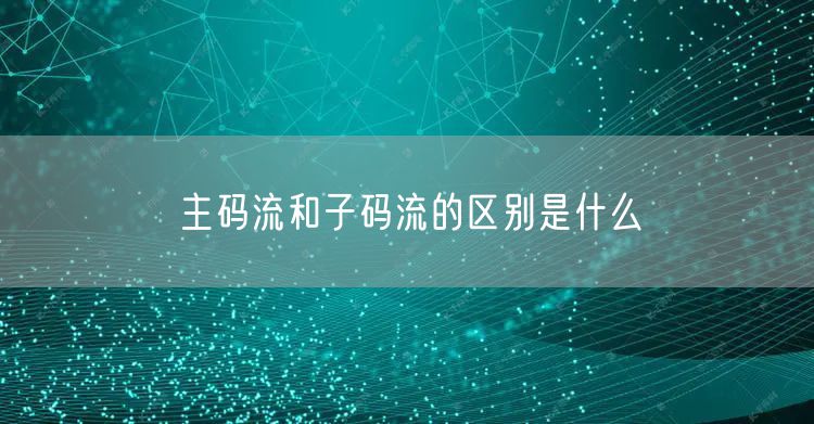 主码流和子码流的区别是什么