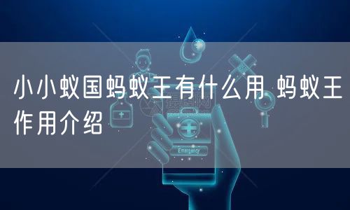 小小蚁国蚂蚁王有什么用 蚂蚁王作用介绍