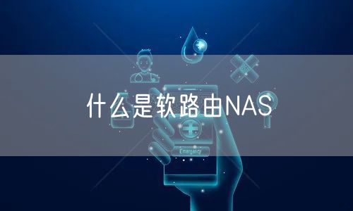 什么是软路由NAS