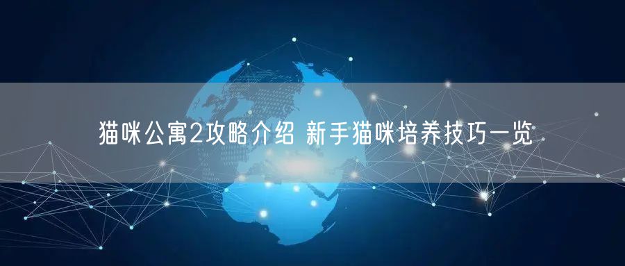 猫咪公寓2攻略介绍 新手猫咪培养技巧一览