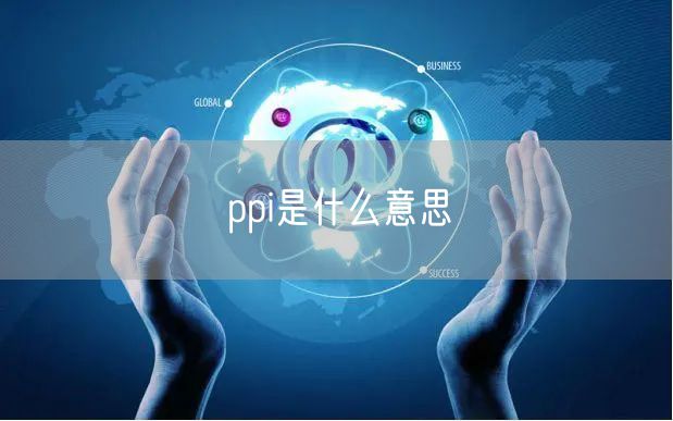 ppi是什么意思