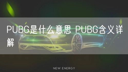 PUBG是什么意思 PUBG含义详解