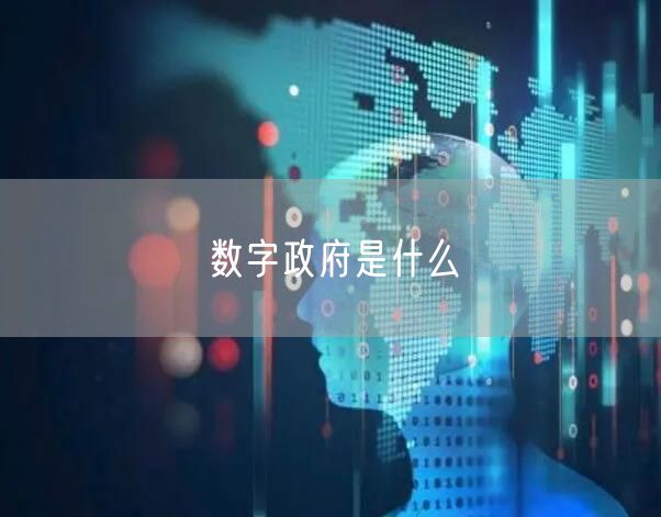 数字政府是什么