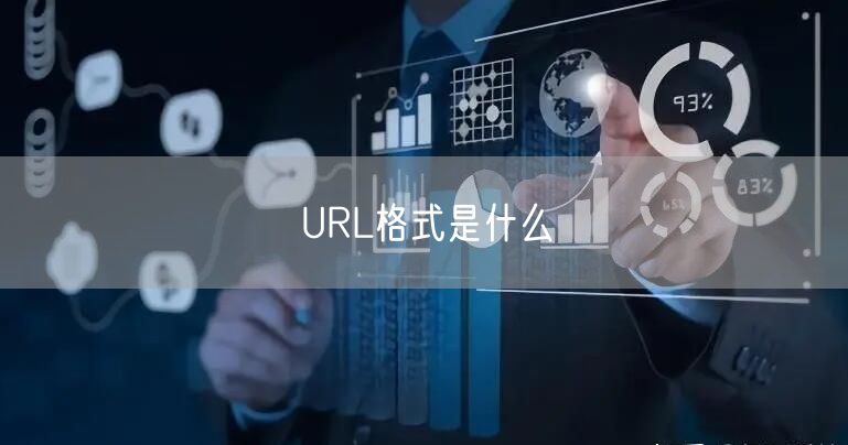 URL格式是什么