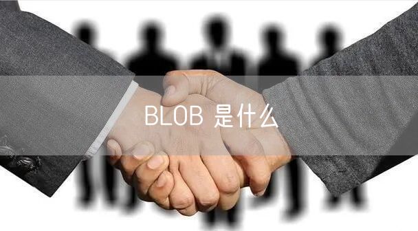 BLOB 是什么