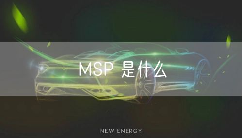 MSP 是什么