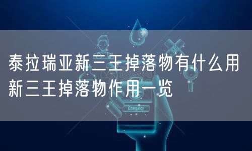 泰拉瑞亚新三王掉落物有什么用 新三王掉落物作用一览