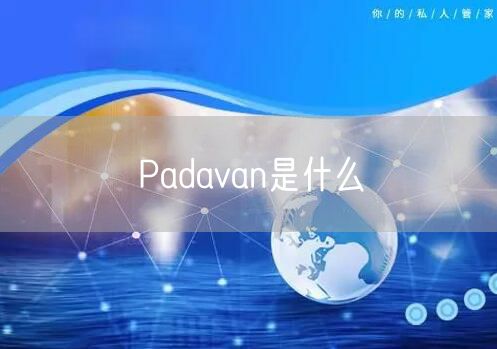 Padavan是什么