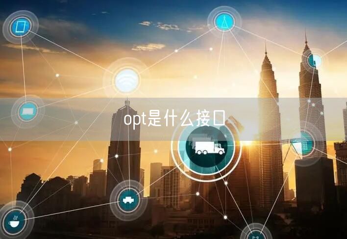 opt是什么接口