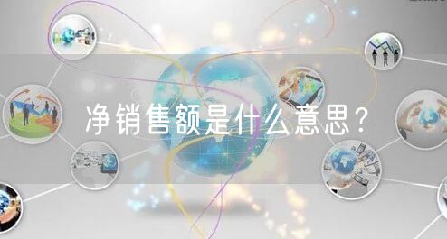 净销售额是什么意思？