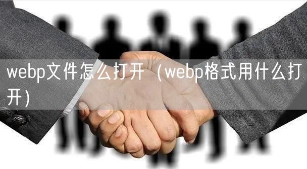 webp文件怎么打开（webp格式用什么打开）