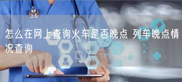 怎么在网上查询火车是否晚点 列车晚点情况查询