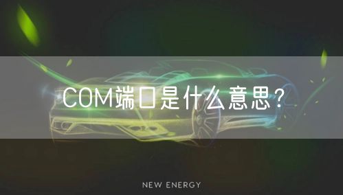 COM端口是什么意思？