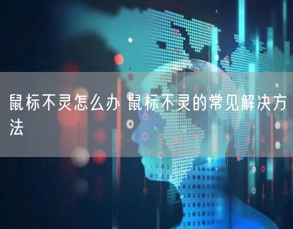 鼠标不灵怎么办 鼠标不灵的常见解决方法