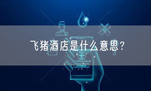 飞猪酒店是什么意思？