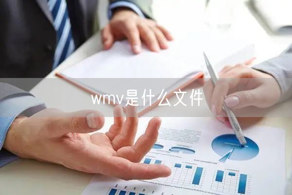 wmv是什么文件