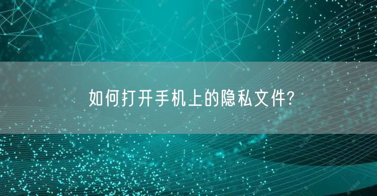 如何打开手机上的隐私文件?