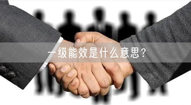 一级能效是什么意思？