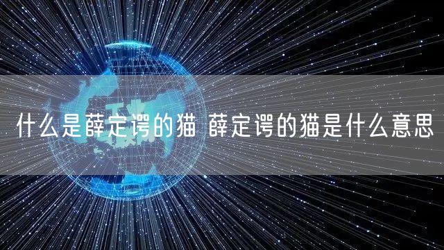 什么是薛定谔的猫 薛定谔的猫是什么意思