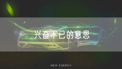 兴奋不已的意思