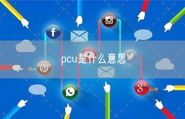 pcu是什么意思