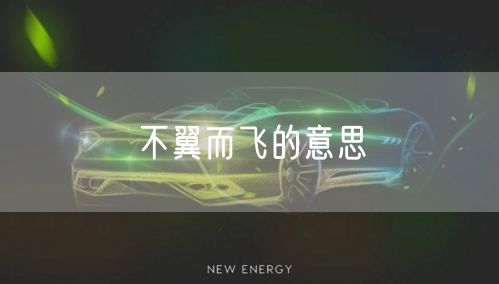 不翼而飞的意思