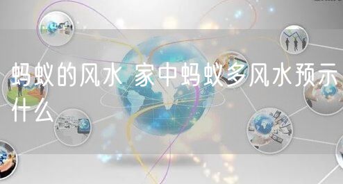 蚂蚁的风水 家中蚂蚁多风水预示什么