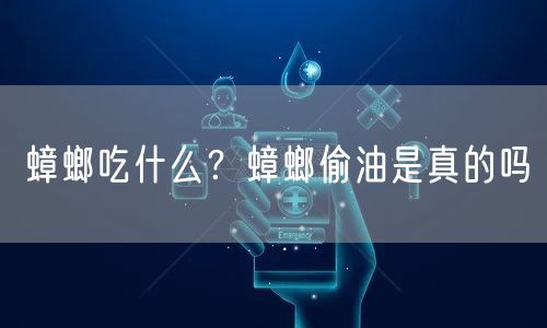  蟑螂吃什么？蟑螂偷油是真的吗