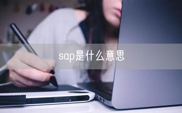sap是什么意思
