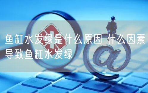 鱼缸水发绿是什么原因 什么因素导致鱼缸水发绿
