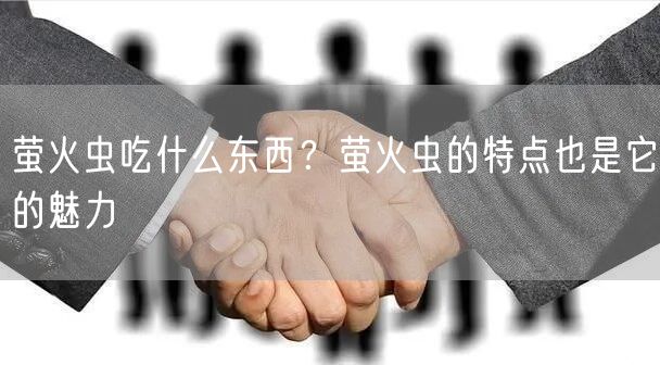  萤火虫吃什么东西？萤火虫的特点也是它的魅力