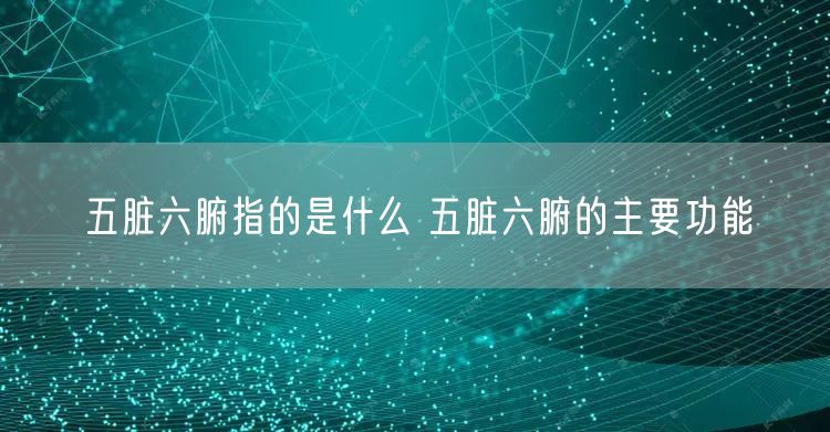 五脏六腑指的是什么 五脏六腑的主要功能