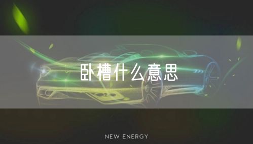 卧槽什么意思