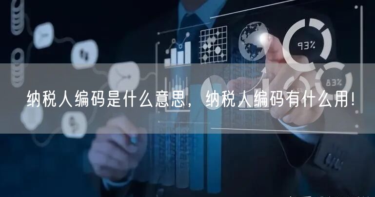  纳税人编码是什么意思，纳税人编码有什么用！