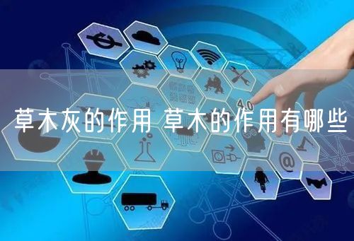 草木灰的作用 草木的作用有哪些