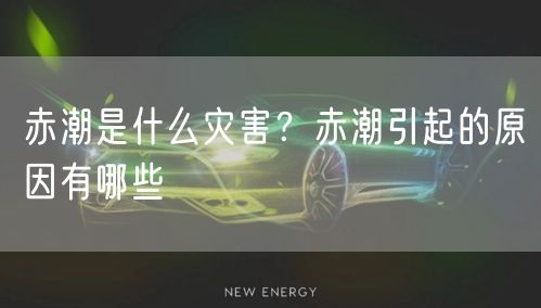  赤潮是什么灾害？赤潮引起的原因有哪些