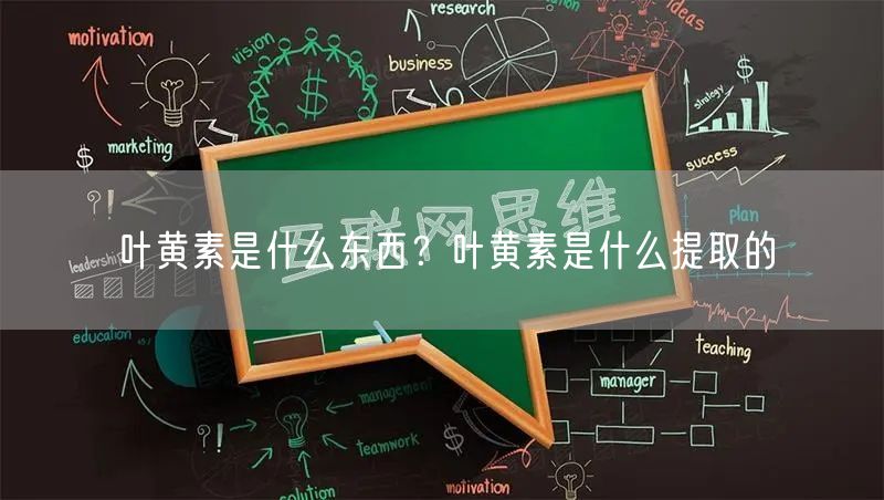 叶黄素是什么东西？叶黄素是什么提取的
