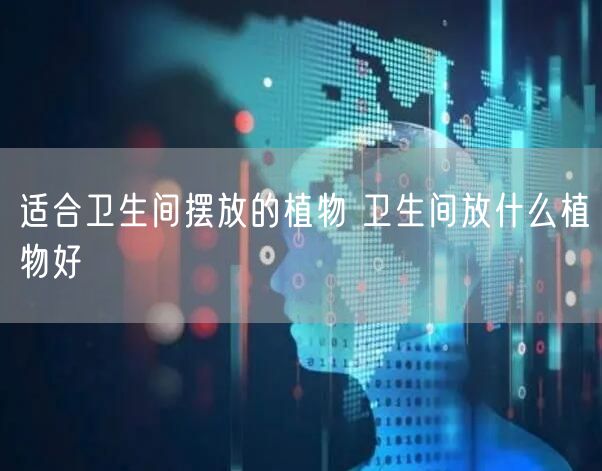 适合卫生间摆放的植物 卫生间放什么植物好