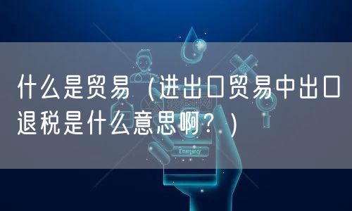  什么是贸易（进出口贸易中出口退税是什么意思啊？）