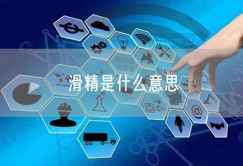 滑精是什么意思