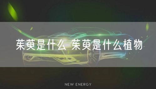 茱萸是什么 茱萸是什么植物