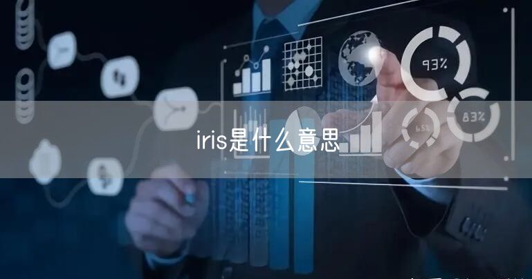 iris是什么意思