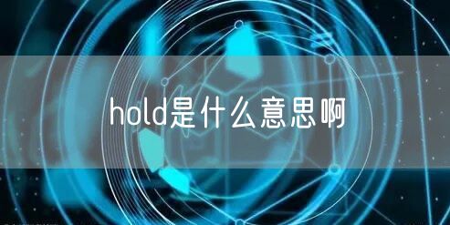 hold是什么意思啊