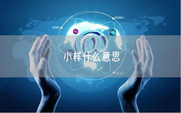 小样什么意思