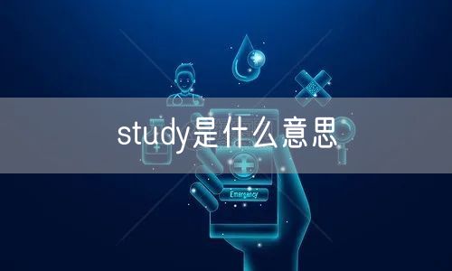 study是什么意思