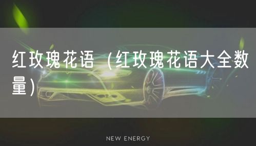  红玫瑰花语（红玫瑰花语大全数量）