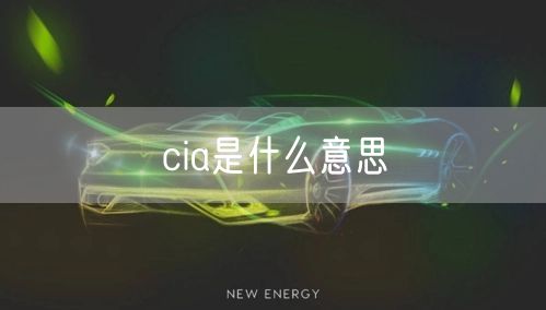 cia是什么意思
