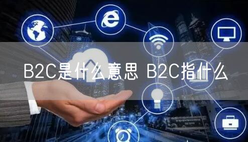 B2C是什么意思 B2C指什么