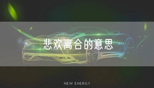悲欢离合的意思