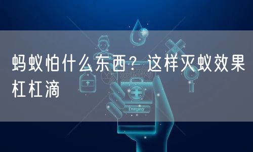  蚂蚁怕什么东西？这样灭蚁效果杠杠滴
